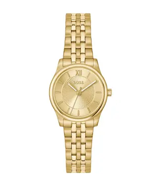 HB1502843 Watch Women 25mm