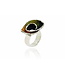 Volut Ring