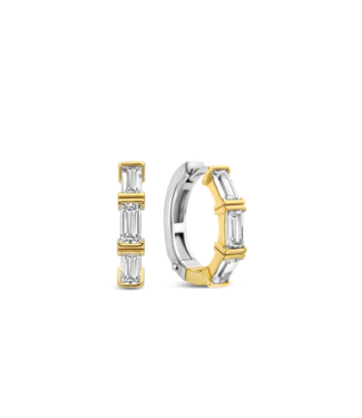 7974ZY Zilver Verguld Oorbellen
