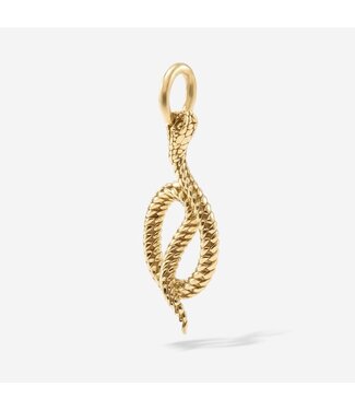 Hanger Ben Slang Verguld - maat One size