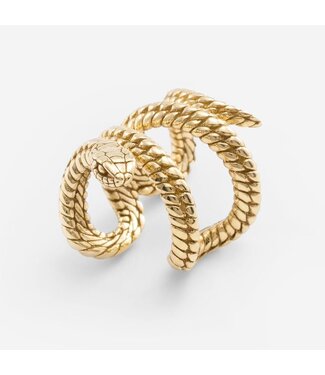 Earcuff Ben Slang Verguld - maat One size