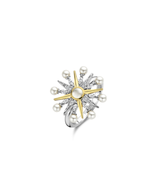 Ring 12301YP