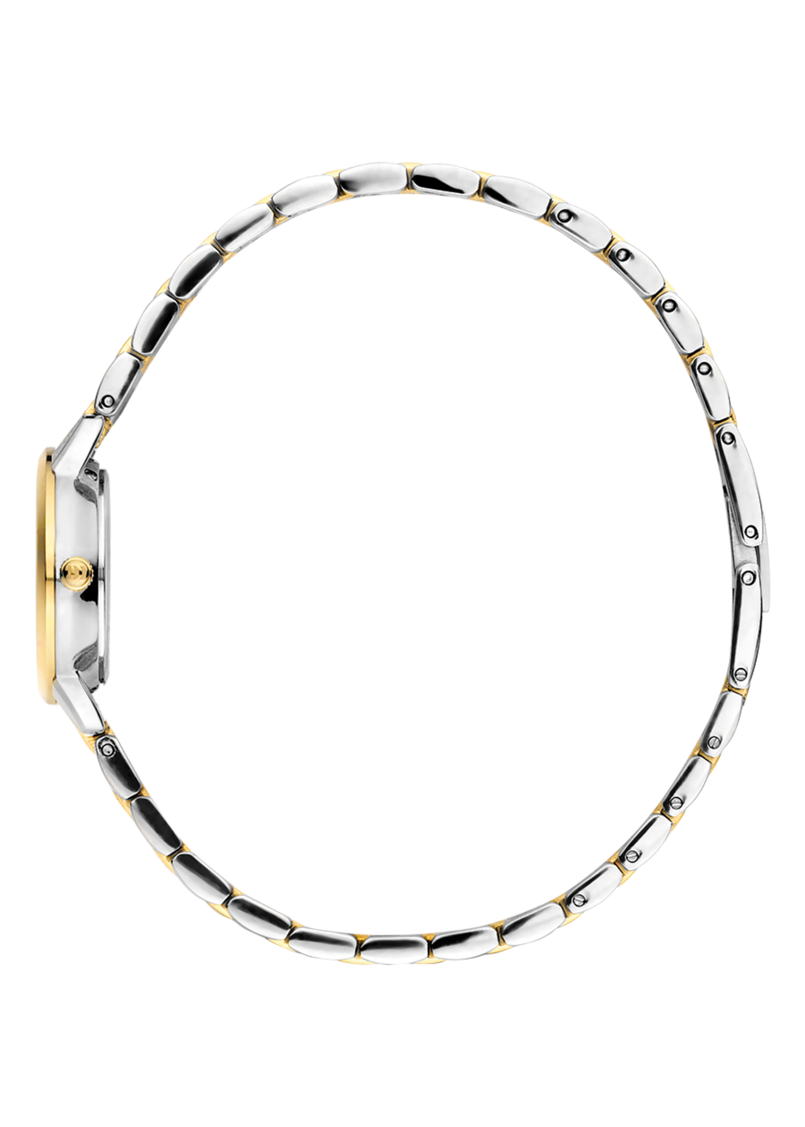 Danish Design Akilia Mini Link Two-Tone Goud Groen IV90Q1268 women’s watch
