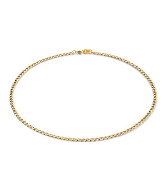 COEUR DE LION Verlängerungskette 50 cm goldfarben 8600/88-1600