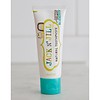 Jack n' Jill Natural Toothpaste Organic Blueberry