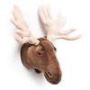 Wild & Soft Trophy moose Alfred