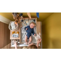 EVOLVE Changing table for komody oak