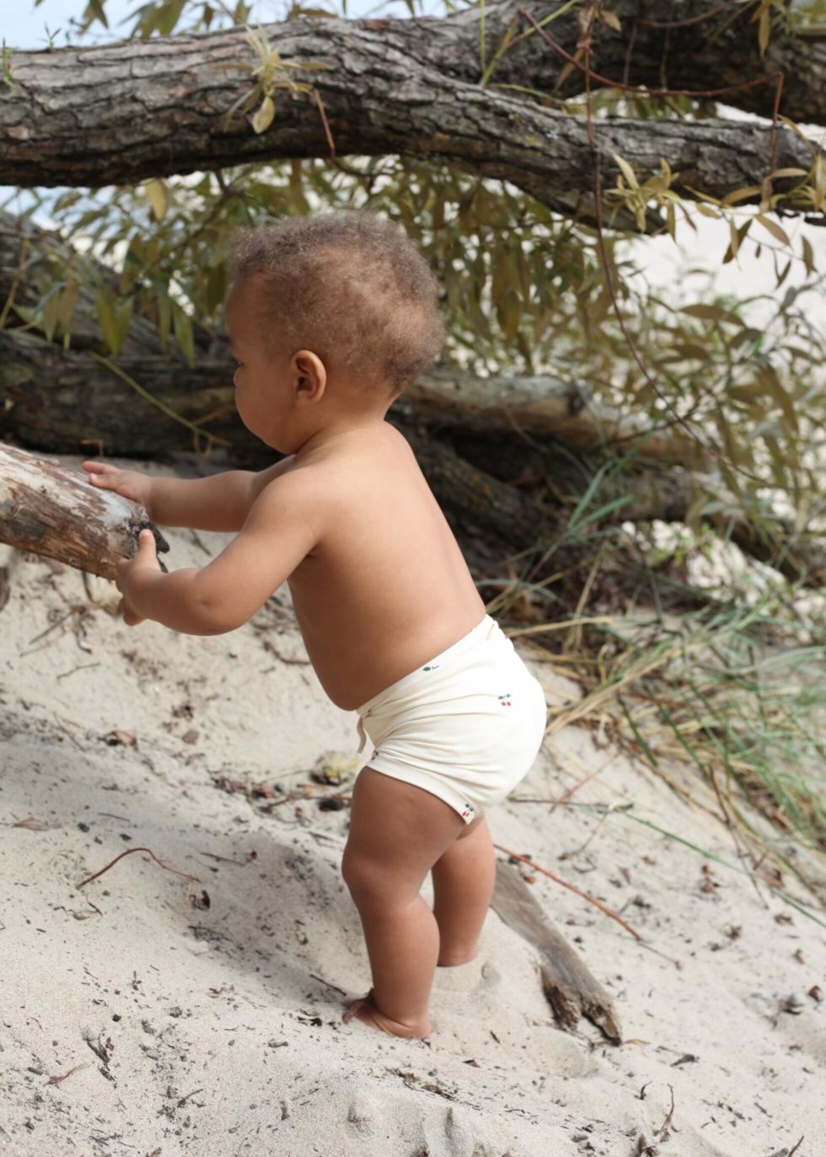 Konges Sløjd Soleil uni swim shorts cherry