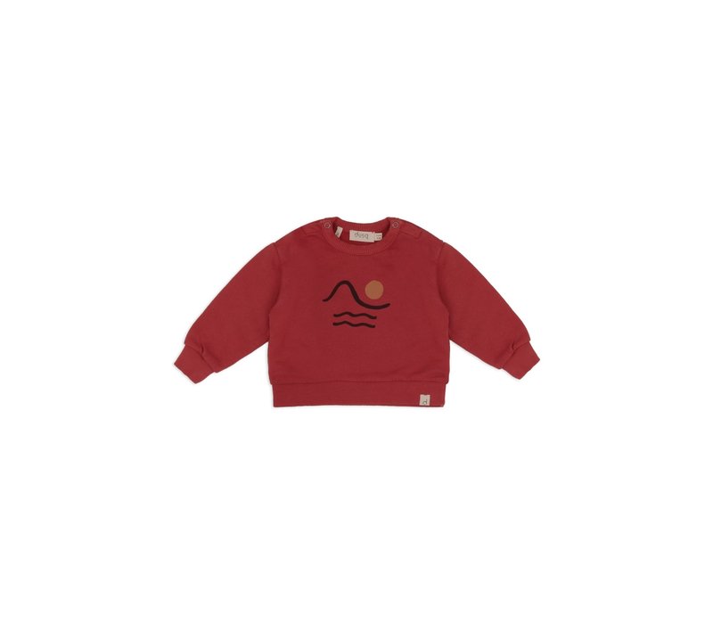 Sweater LS american fleece clay red