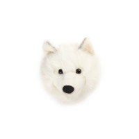 Trophy white wolf Lucy
