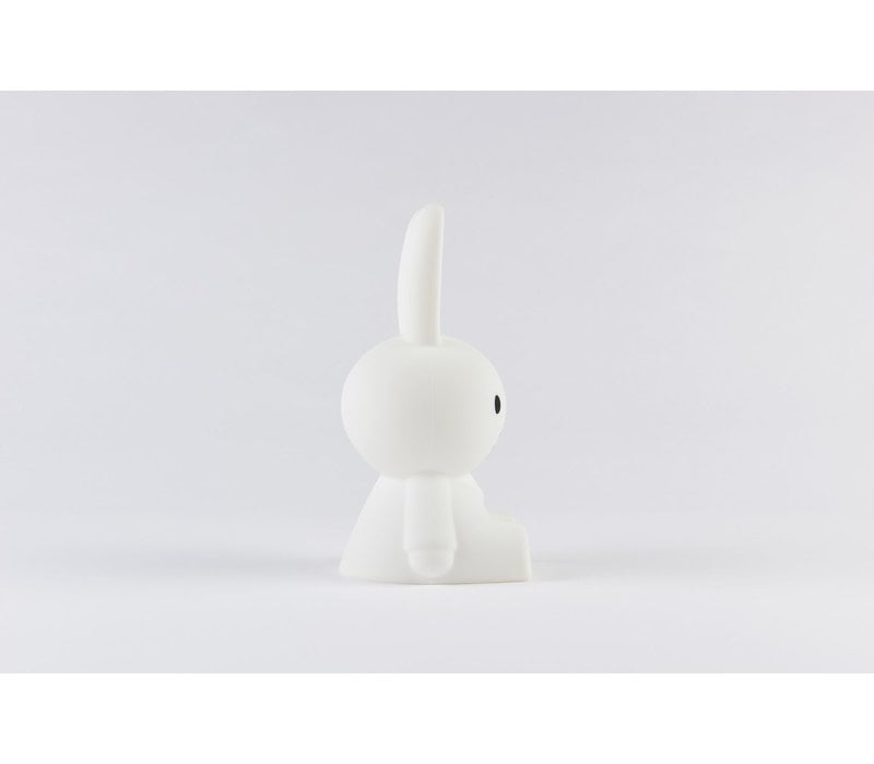 Miffy Bundle of light