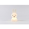 Mr Maria Miffy Bundle of light