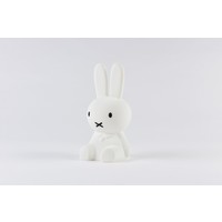 Miffy Bundle of light