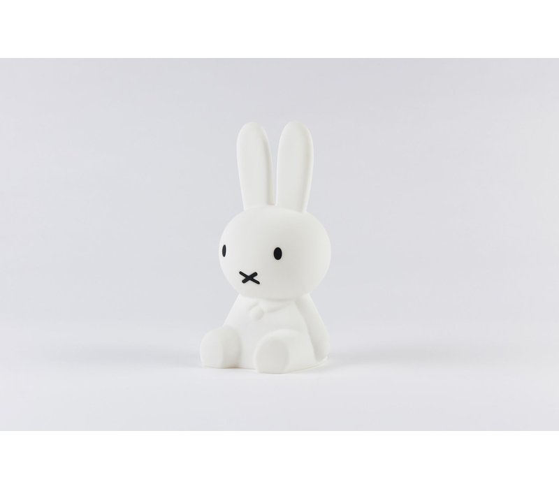 Miffy Bundle of light