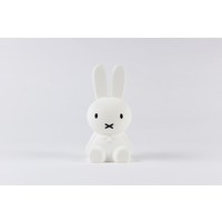 Miffy Bundle of light