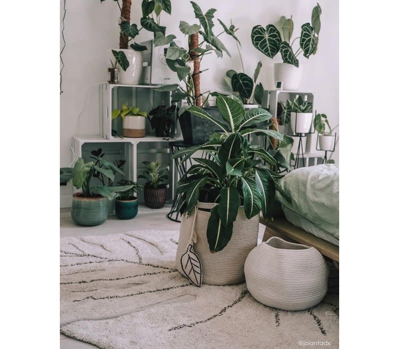 Washable rug Monstera Natural