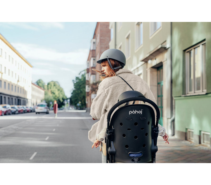 Bike Seat & Stroller