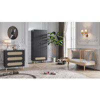 CANNE 2-door wardrobe black