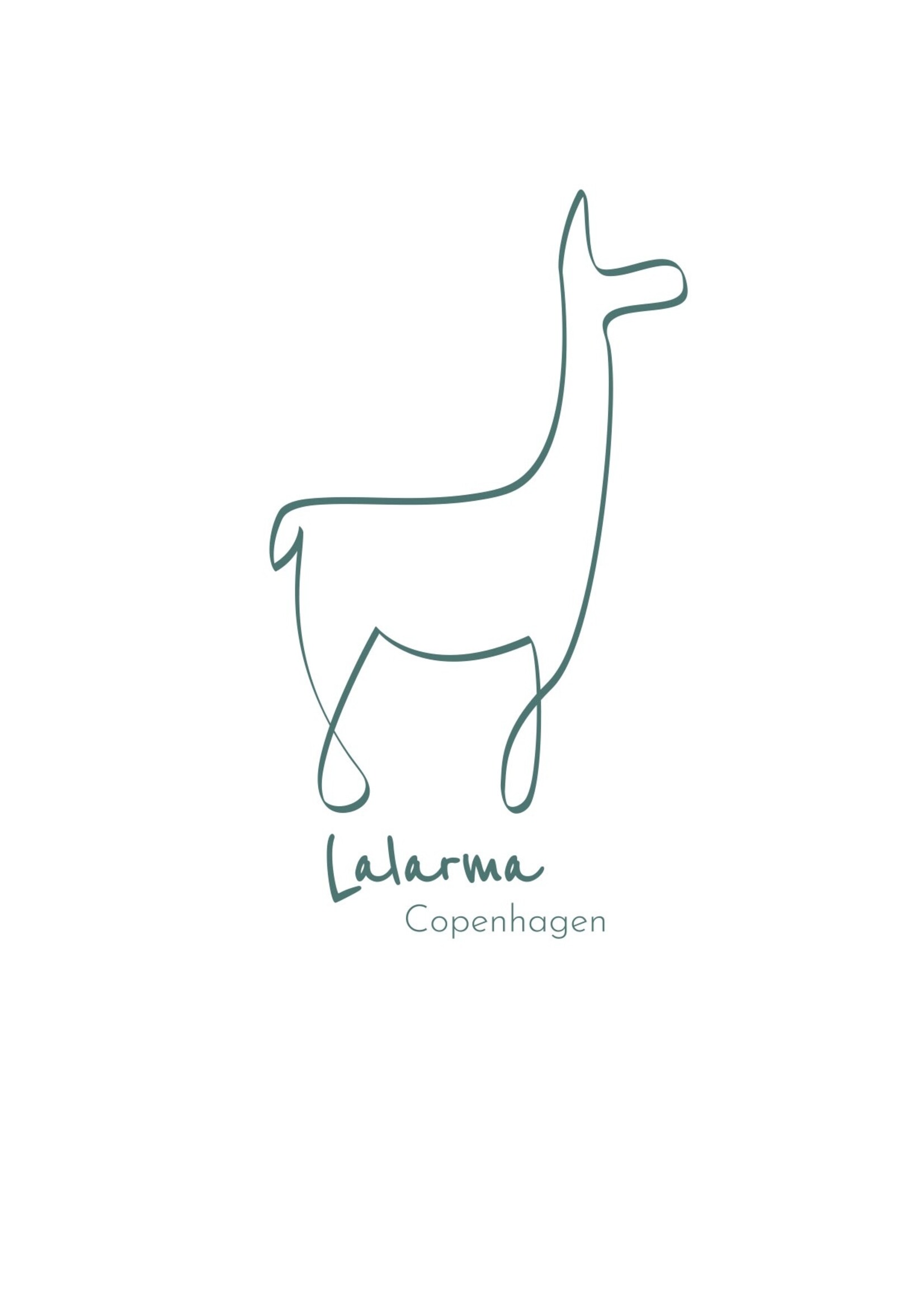 Lalarma Micro SD-kaart 32GB voor kids camera