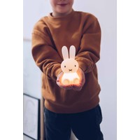 Miffy Bundle of light