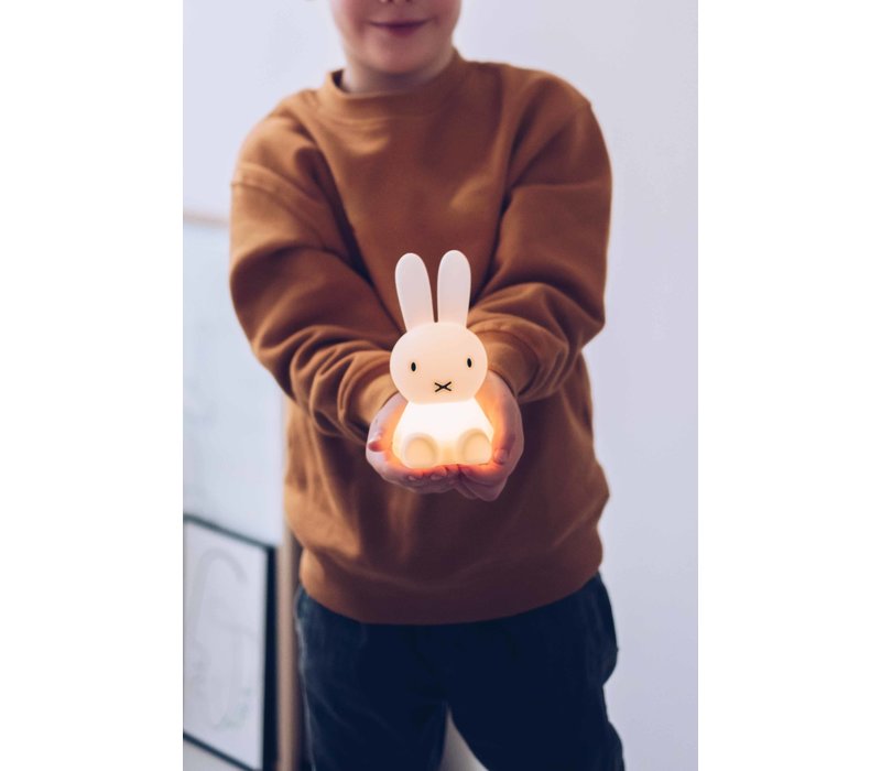 Miffy Bundle of light