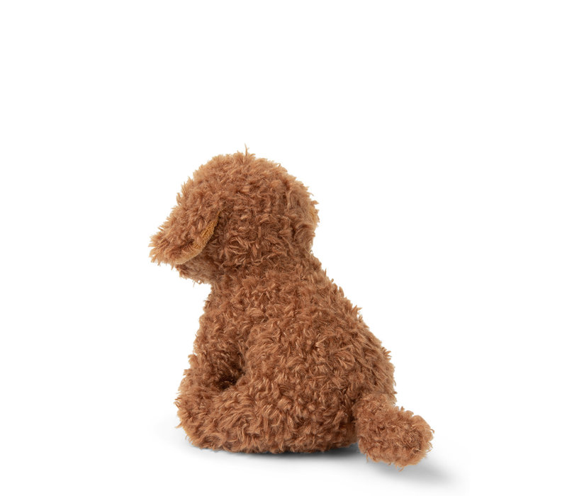 Stacy the Labradoodle in giftbox – 17 cm