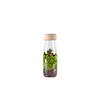Petit Boum Sensorische fles - Jungle
