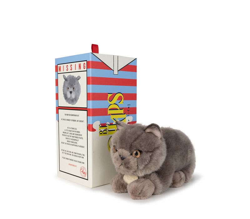 Freddy the British Shorthair in giftbox – 20 cm