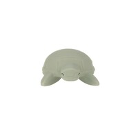 Bath Toy Natural Rubber Turtle