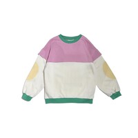 Winged Sweater Color block