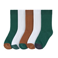 Ribbed socks 5 pcs Ocean green/ milky/ caramel