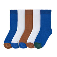 Ribbed socks 5 pcs Blue/ milky/ caramel