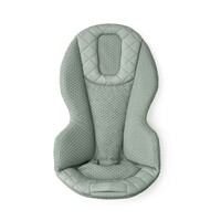 3-in-1 Evolve Bouncer mesh sage green