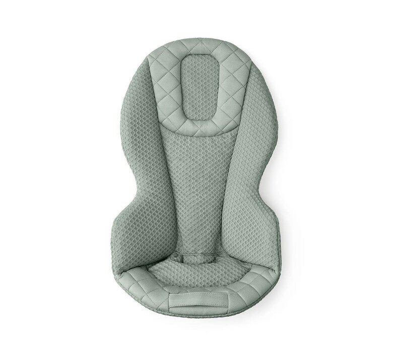 3-in-1 Evolve Bouncer mesh sage green