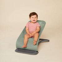 3-in-1 Evolve Bouncer mesh sage green