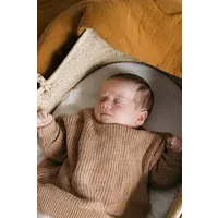 Baby Cordero praliné