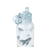 Yang Tritan Water Bottle 500ml Sea creature/ Sandy