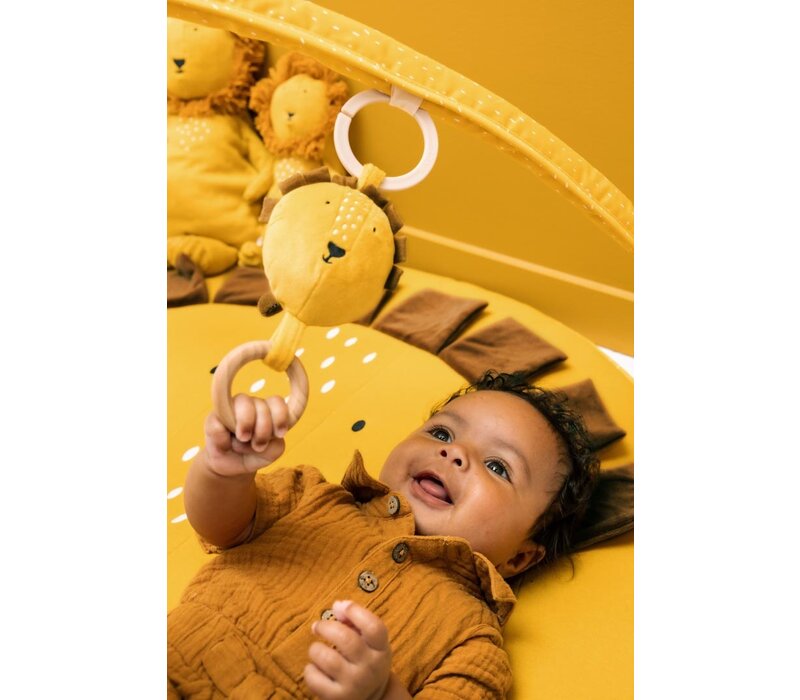 Activity play mat with arches Mr. Lion