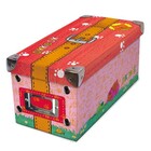 Dikkie Dik opbergdoos