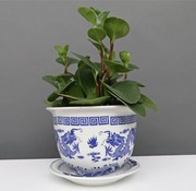 Yajutang Flowerpot Blue-White & Dragon Motif Ø20