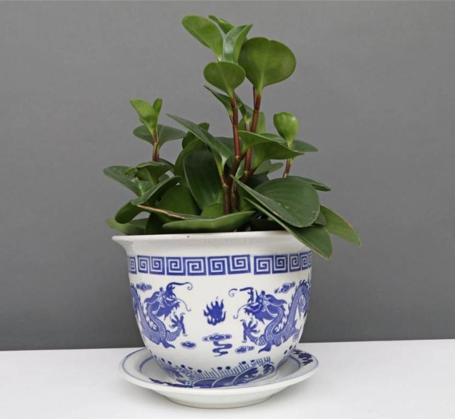 Porcelain flowerpot with dragon motif Maximum outer edge Ø 20cm