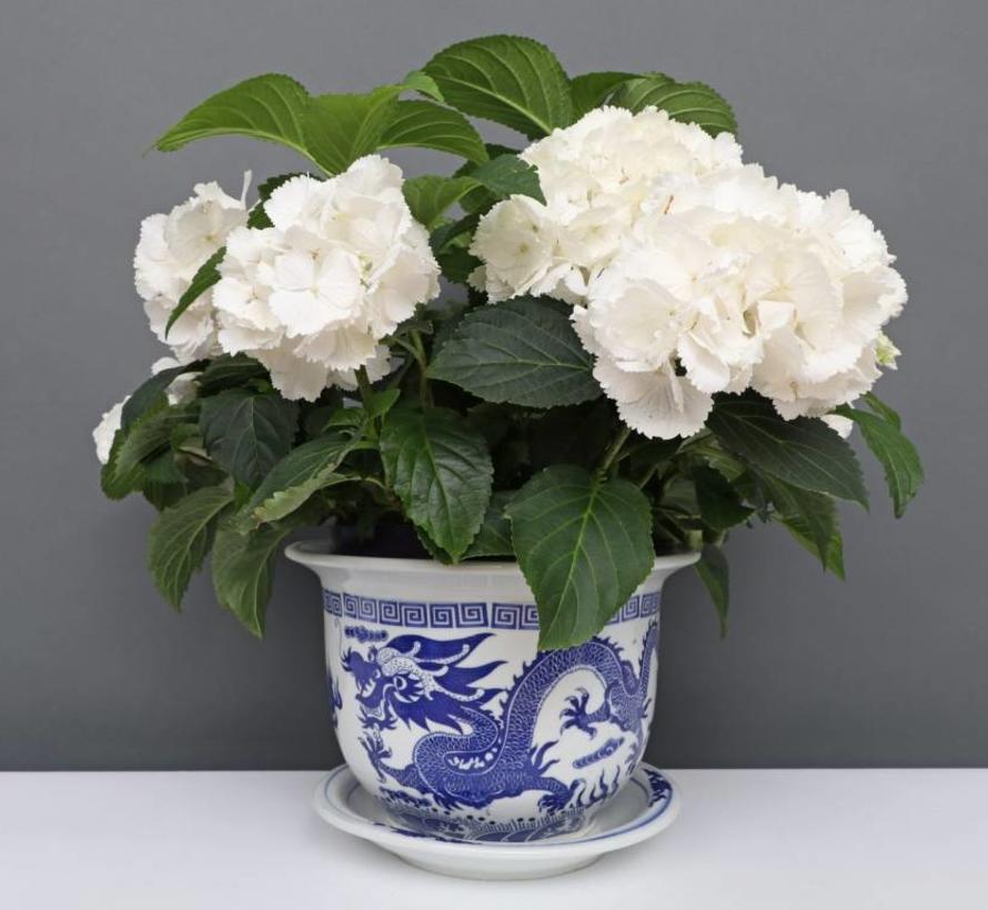 Porcelain flowerpot with dragon motif Maximum outer edgeØ 24cm