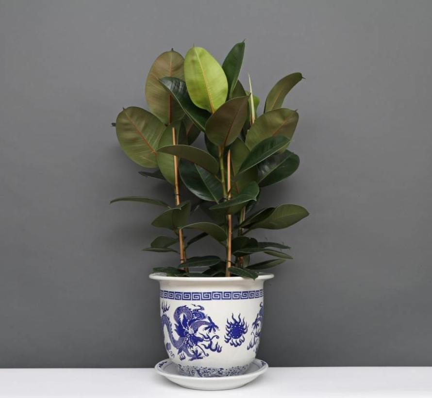 Porcelain flowerpot with dragon motif Maximum outer edge Ø33 cm