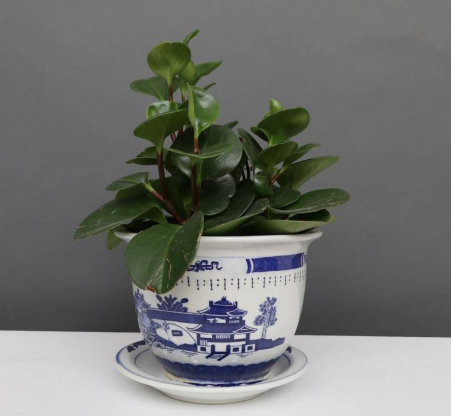 China Porzellan Blumentopf Blau-Weiß mit Landschaft Ø 24cm