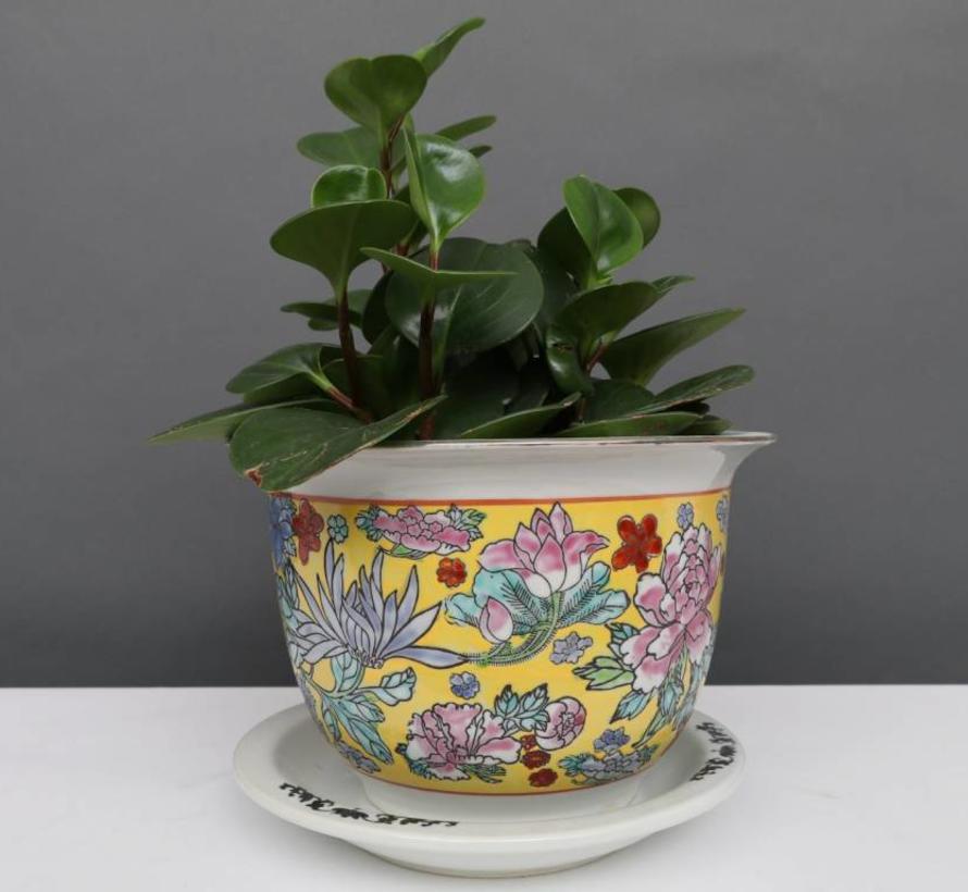 Porcelain flowerpot yellow colorful flowers Maximum outer edge Ø 24