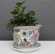 Yajutang Blumentopf Weiß mit bunten Blumen Ø17cm