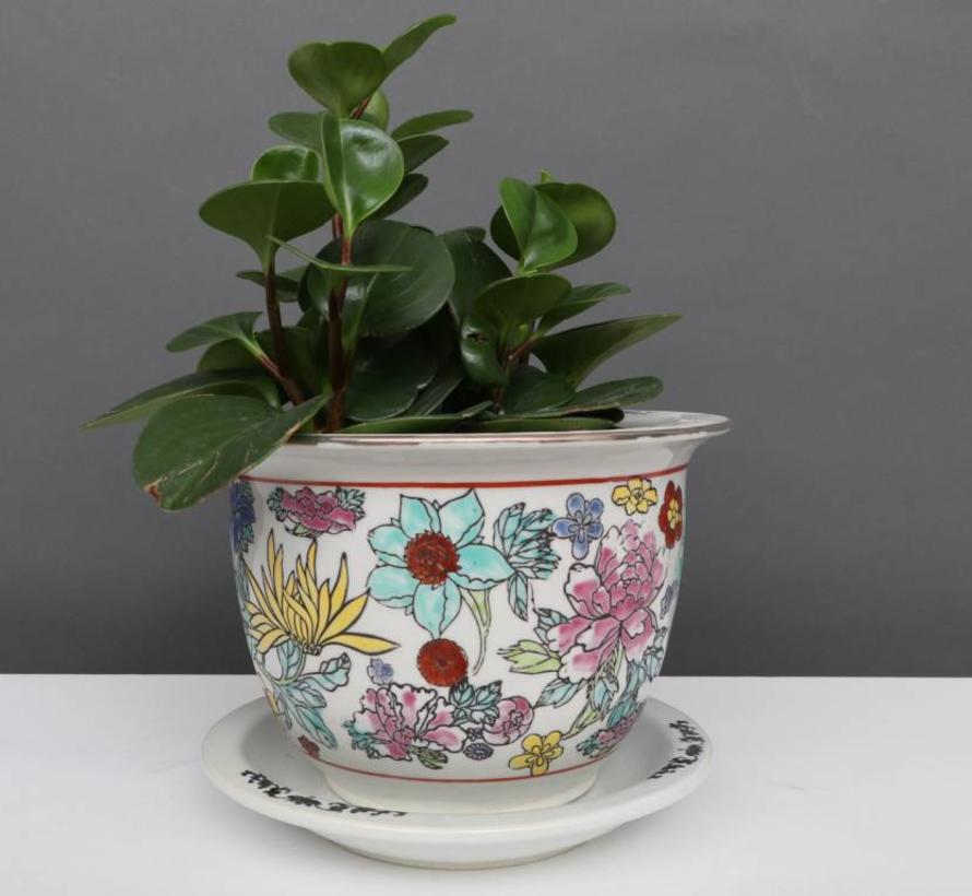 China Porcelain flowerpot white with colorful flowers Ø17cm