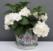 Yajutang Flowerpot white & colorful flowers Ø 28