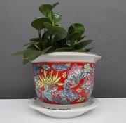 Yajutang Flowerpot red & colorful flowers Ø 23