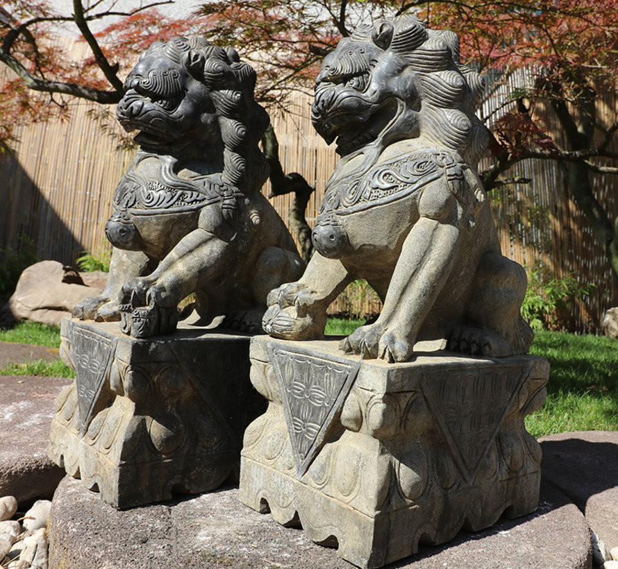 Pair of Fu dogs Guardian lions Temple lion stone figure 60cm H